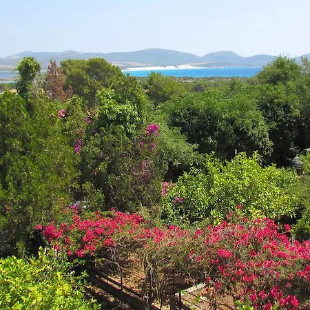 Apartment Panohome Porto Pino