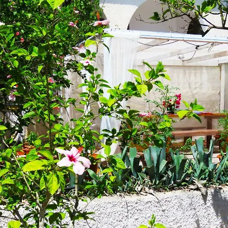 Panohome Apartamento *