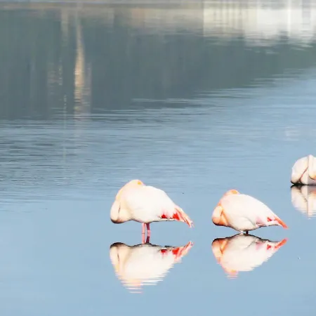 Panohome アパート ポルト・ピノ