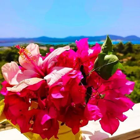 Panohome Lejlighed *