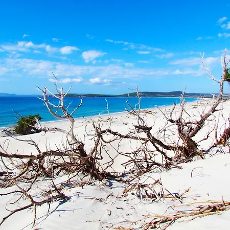 アパート Panohome *