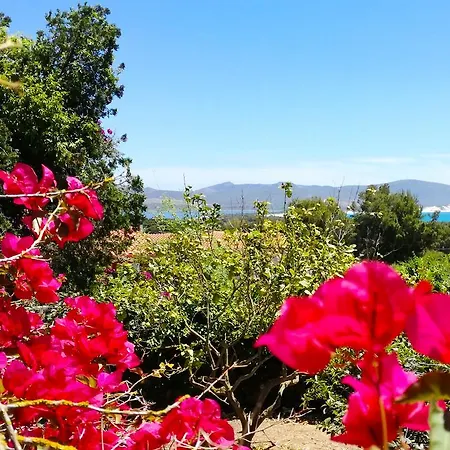 Panohome アパート ポルト・ピノ