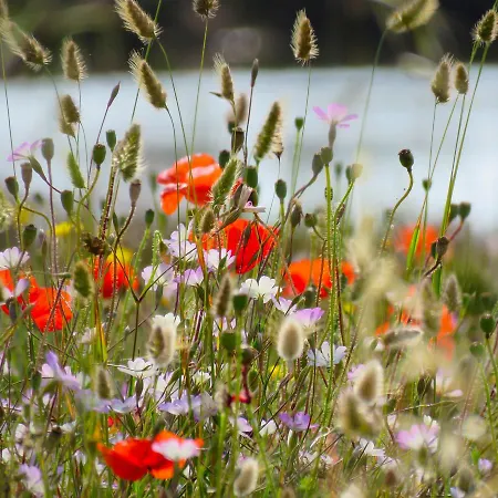 アパート Panohome