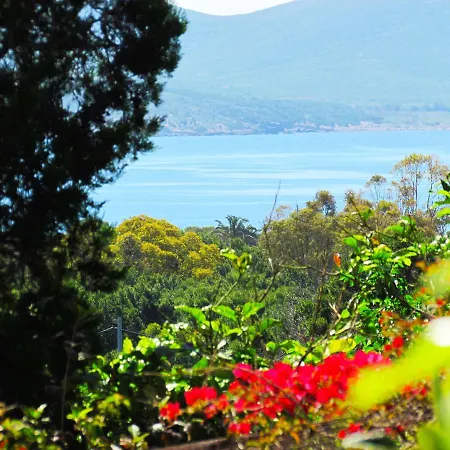 アパート Panohome *