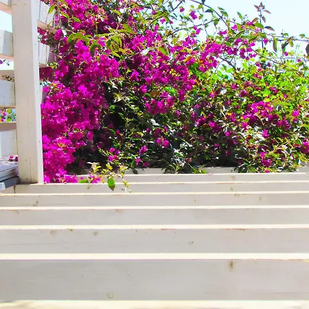 Panohome Lejlighed Porto Pino