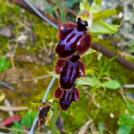 アパート Panohome