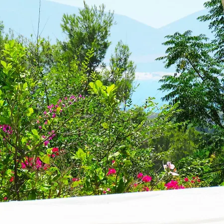 Panohome アパート *