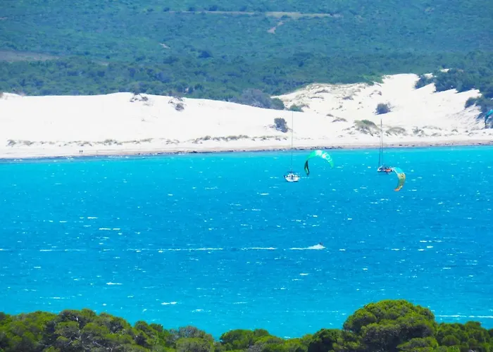 Apartment Panohome *