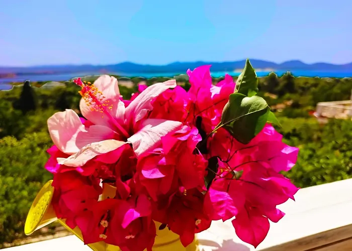 Panohome Apartment *