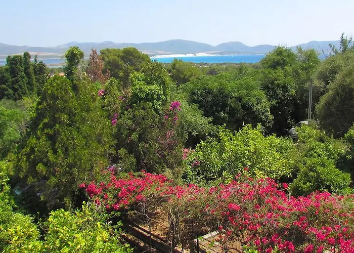 Apartment Panohome Porto Pino