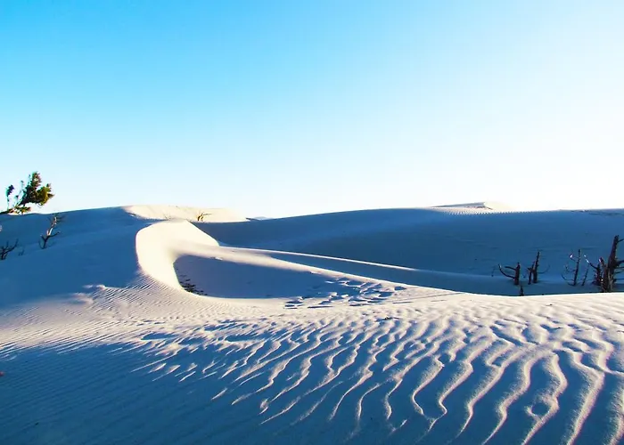 Apartment Panohome *