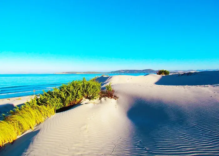 Apartment Panohome Porto Pino