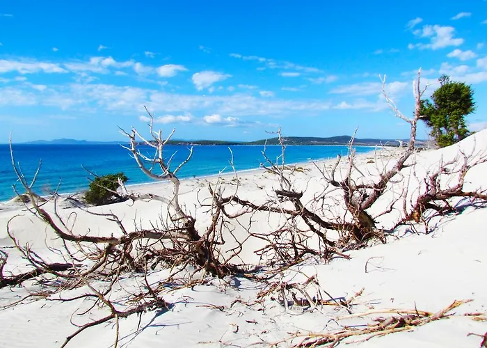 Apartment Panohome *