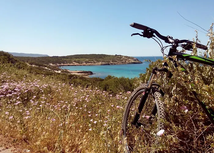 Apartment Panohome Porto Pino