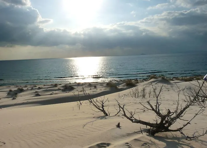 Apartment Panohome *