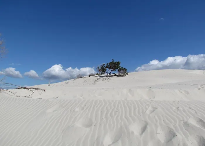 Panohome Apartment *