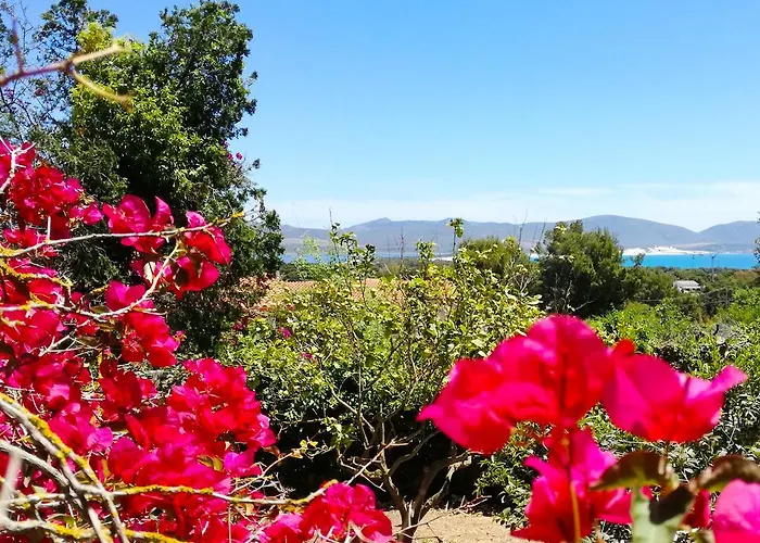 Panohome Apartment Porto Pino