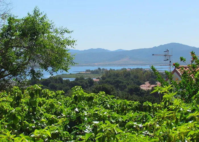 Apartment Panohome Porto Pino