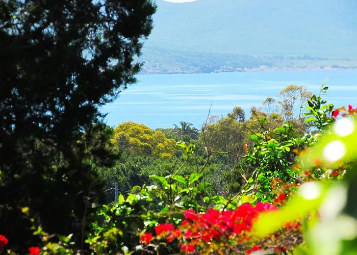 Apartment Panohome *