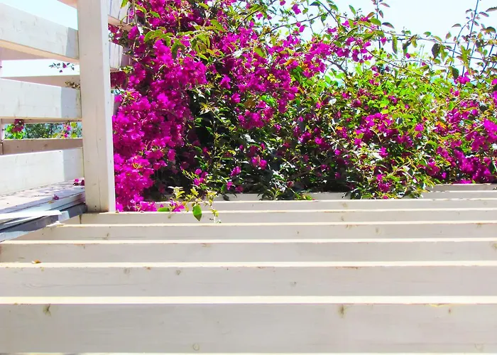 Panohome Apartment Porto Pino