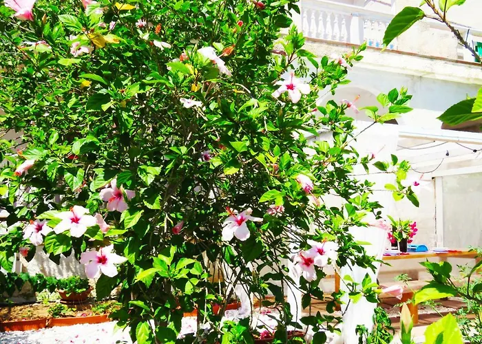 Apartment Panohome Porto Pino